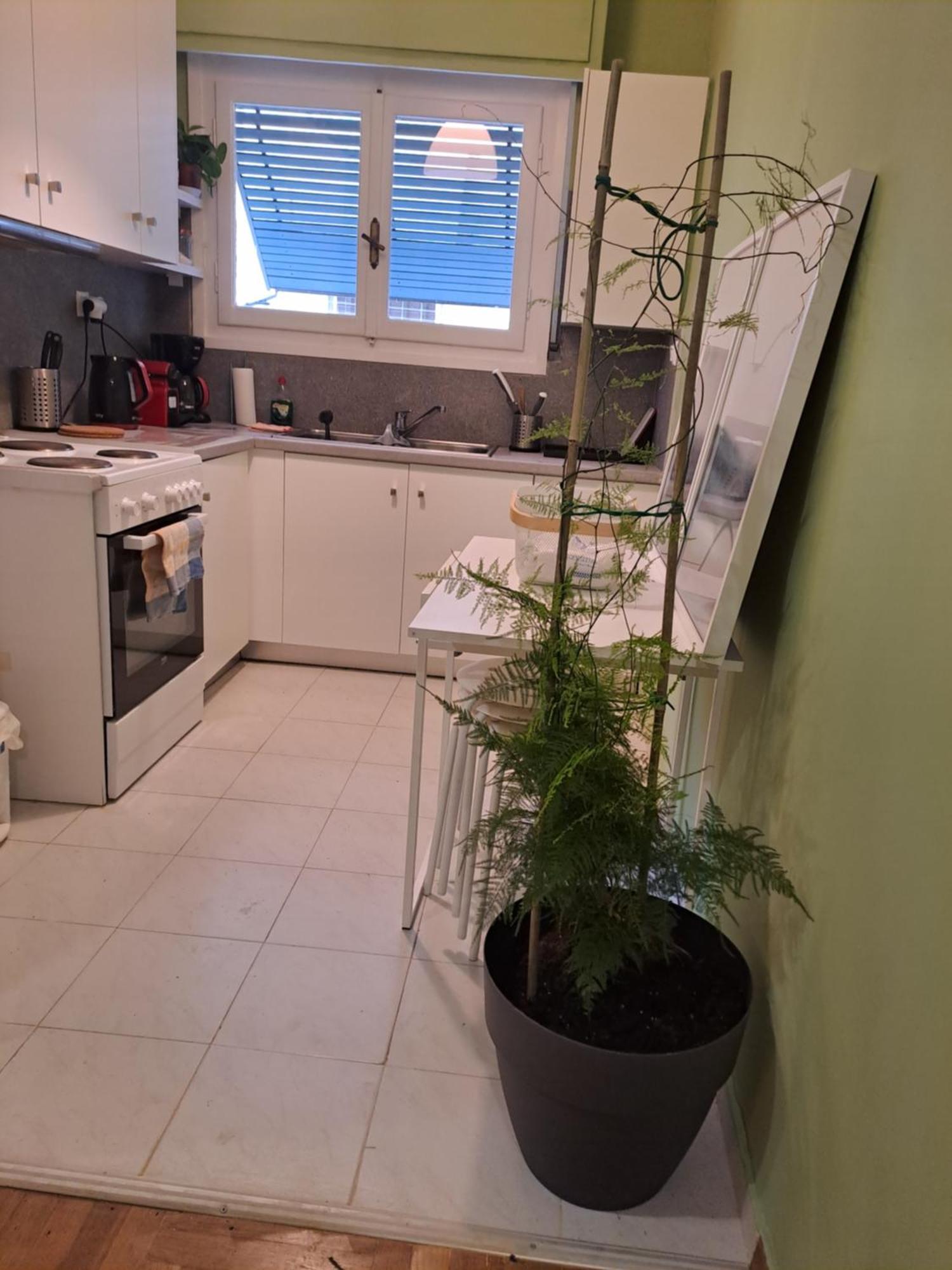 Athens Stadium Path Quiet & Central 4 Persons Apartment Atenas Exterior foto